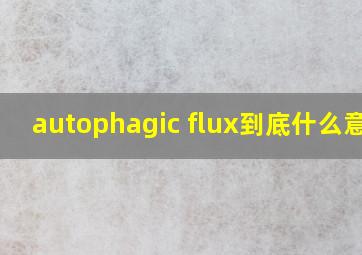 autophagic flux到底什么意思