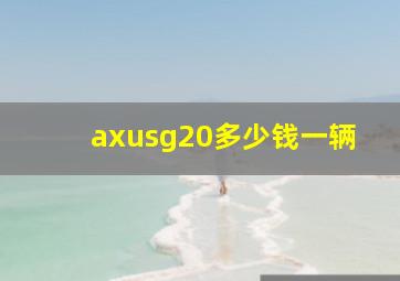 axusg20多少钱一辆