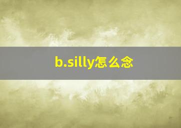 b.silly怎么念