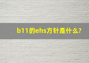 b11的ehs方针是什么?