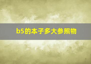 b5的本子多大参照物