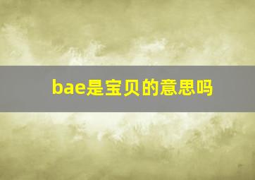 bae是宝贝的意思吗