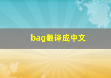 bag,翻译成中文
