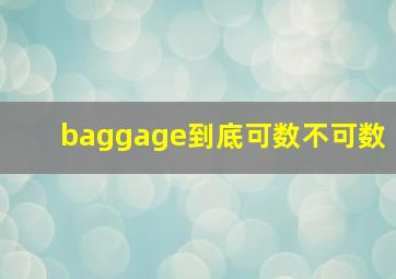 baggage到底可数不可数(