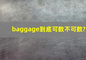 baggage到底可数不可数?
