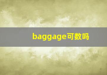 baggage可数吗