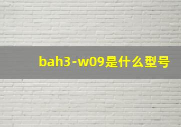 bah3-w09是什么型号