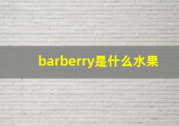 barberry是什么水果