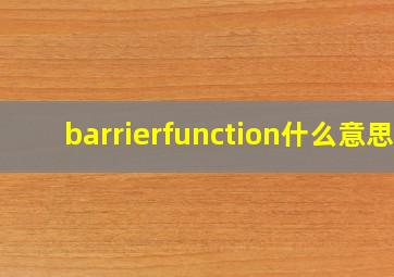 barrierfunction什么意思