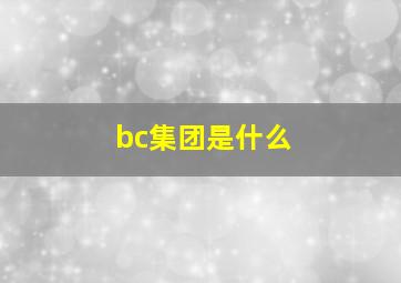 bc集团是什么