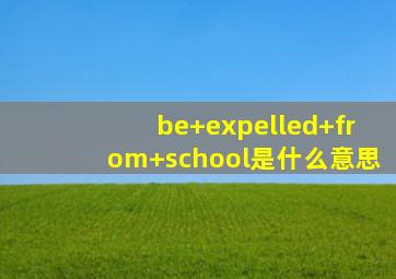 be+expelled+from+school是什么意思