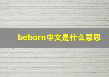 beborn中文是什么意思