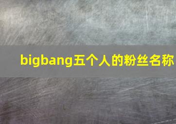 bigbang五个人的粉丝名称