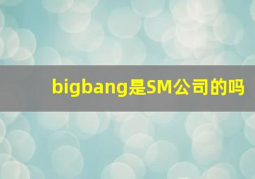 bigbang是SM公司的吗