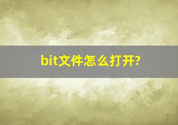 bit文件怎么打开?