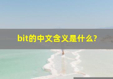 bit的中文含义是什么?