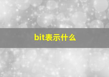 bit表示什么