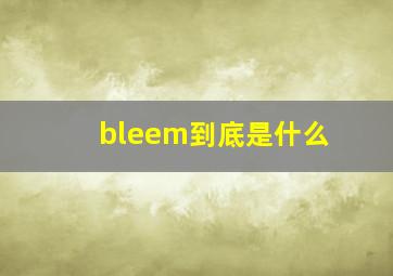 bleem到底是什么(