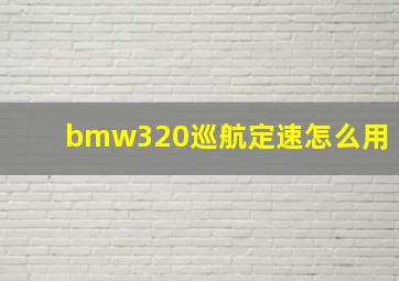 bmw320巡航定速怎么用