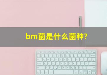 bm菌是什么菌种?