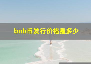 bnb币发行价格是多少 