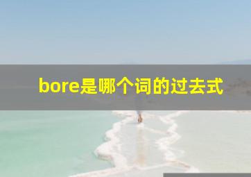 bore是哪个词的过去式