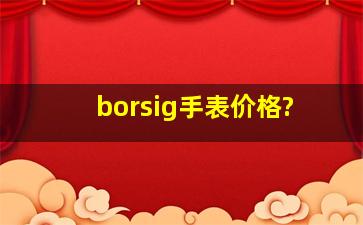 borsig手表价格?