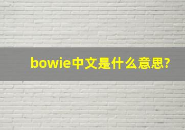 bowie中文是什么意思?