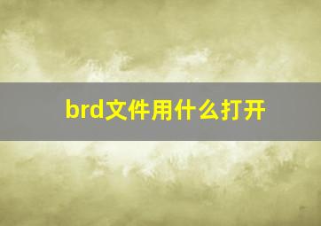 brd文件用什么打开