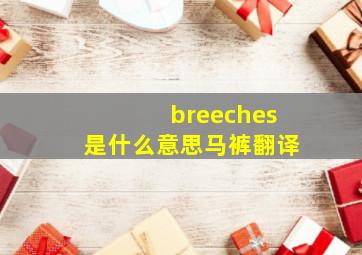 breeches是什么意思,马裤翻译