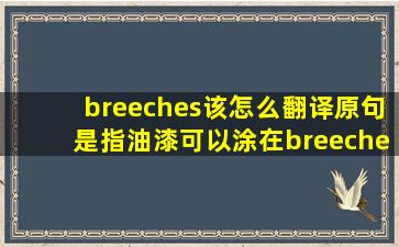 breeches该怎么翻译,原句是指油漆可以涂在breeches,heaters,boilers...