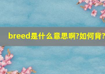 breed是什么意思啊?如何背?