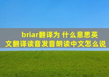 briar翻译为 什么意思,英文翻译,读音,发音,朗读,中文怎么说