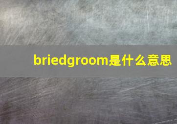 briedgroom是什么意思