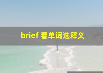 brief 看单词选释义