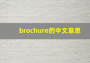 brochure的中文意思