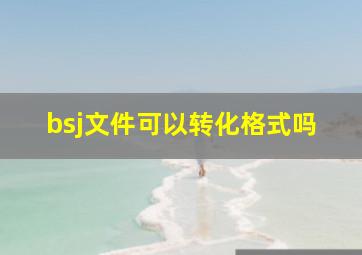 bsj文件可以转化格式吗