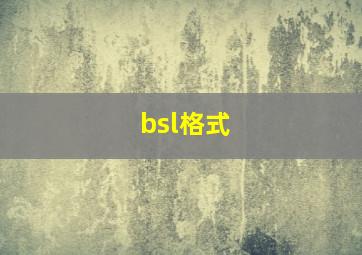 bsl格式