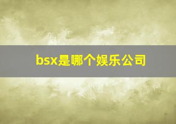 bsx是哪个娱乐公司