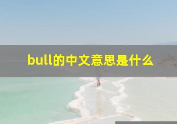 bull的中文意思是什么