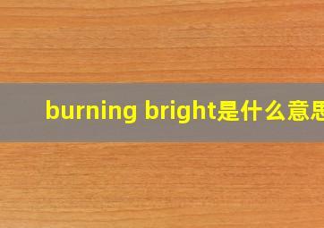 burning bright是什么意思