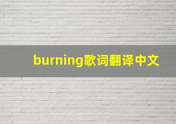 burning歌词翻译中文