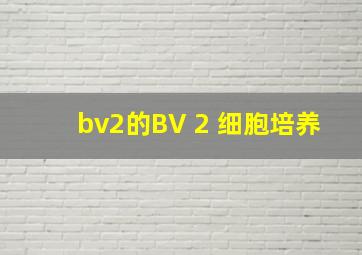 bv2的BV 2 细胞培养