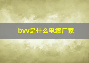 bvv是什么电缆厂家