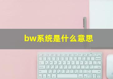 bw系统是什么意思(