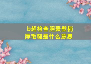 b超检查胆囊壁稍厚毛糙是什么意思