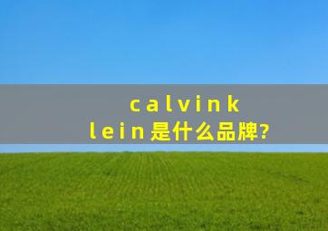 c a l v i n k l e i n 是什么品牌?