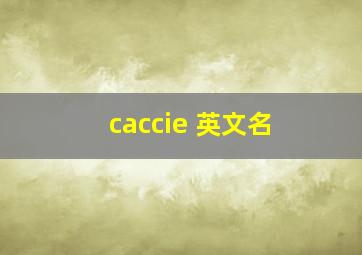 caccie 英文名