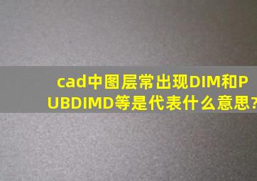 cad中图层常出现DIM和PUBDIMD等是代表什么意思?