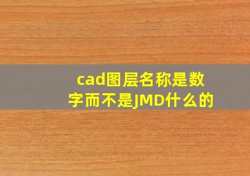 cad图层名称是数字而不是JMD什么的